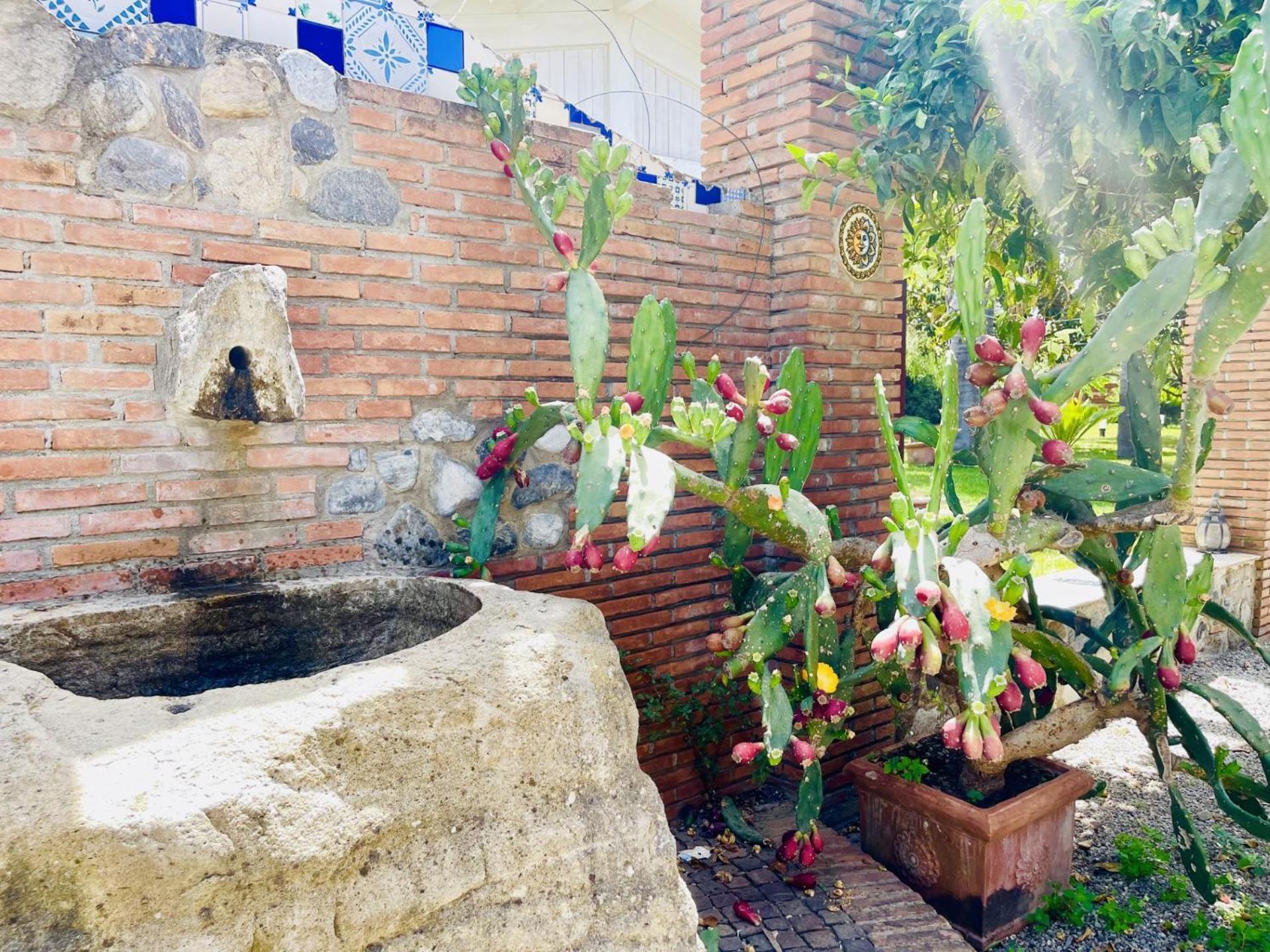 巴塞罗纳-波佐戈托Borgo Camicia In住宿加早餐旅馆 外观 照片