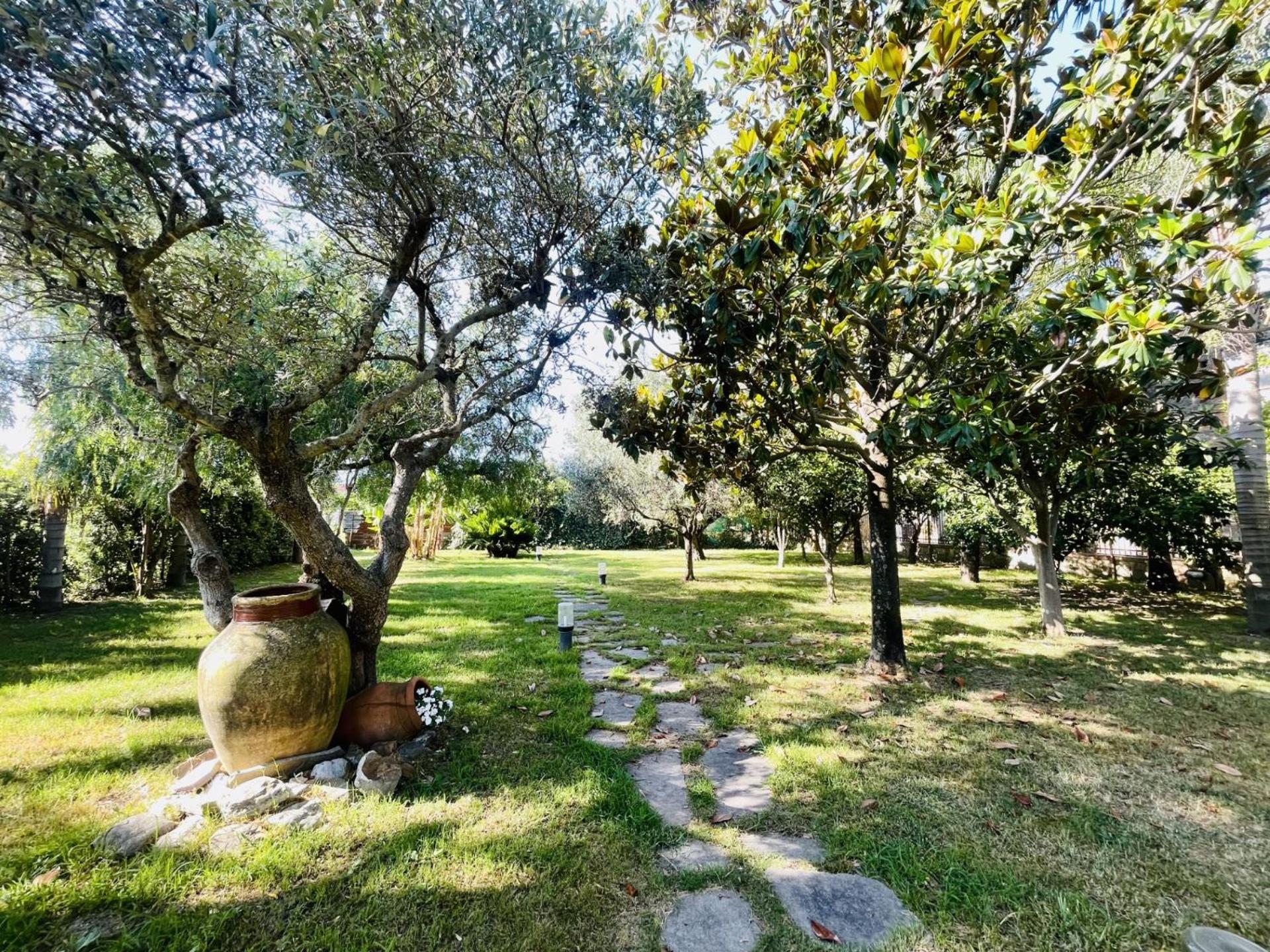 巴塞罗纳-波佐戈托Borgo Camicia In住宿加早餐旅馆 外观 照片